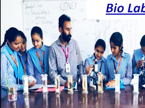 Biology Lab 5